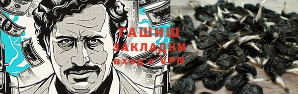 трава Новодвинск