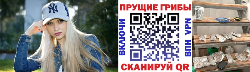Галлюциногенные грибы прущие грибы Пыть-Ях