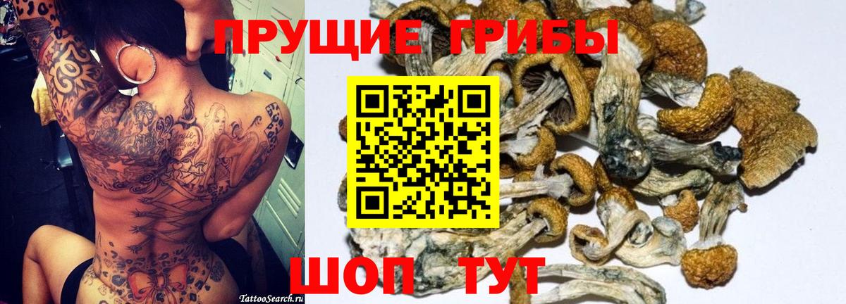 Пыть-Ях  Псилоцибиновые грибы прущие грибы  Вход с VPN 